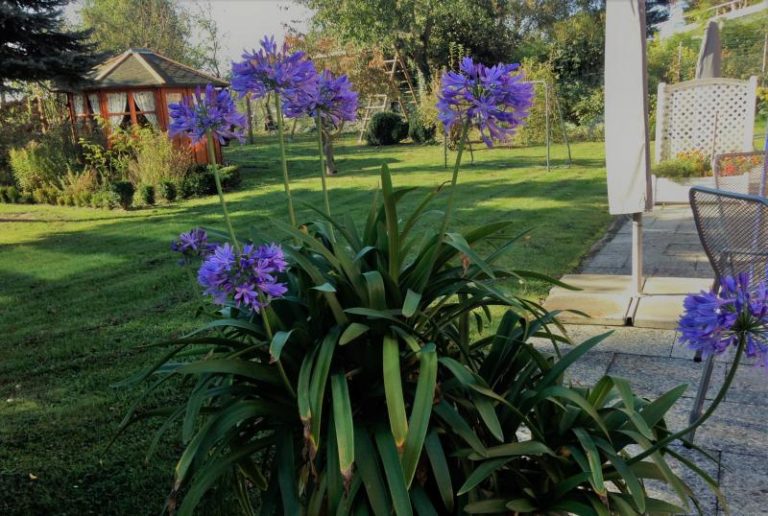 Blick in den Garten / Landhaus Diana in Isenbüttel